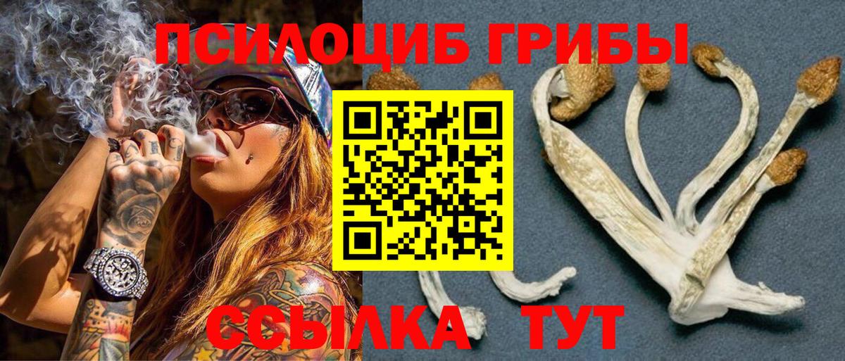 Псилоцибиновые грибы GOLDEN TEACHER Армавир